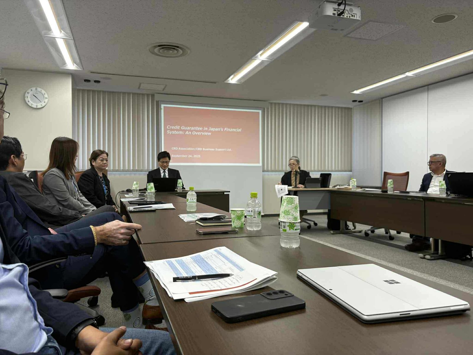 Learning from Japan: Revisiting the Credit Guarantee Overview